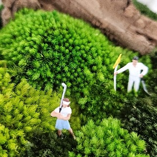 프로필 이미지