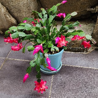 프로필 이미지