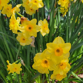 유저 프로필 사진