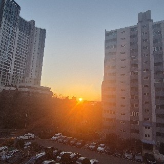 유저 프로필 사진