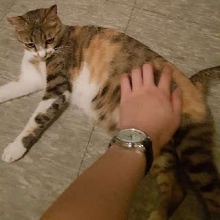 프로필 이미지