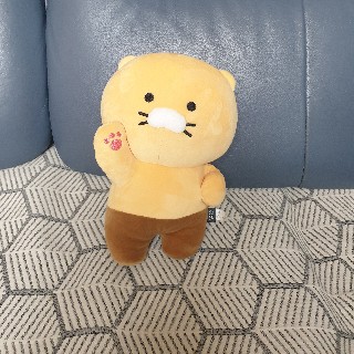 프로필 이미지