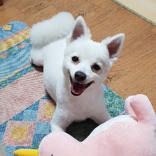 프로필 이미지