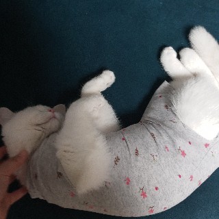 프로필 이미지