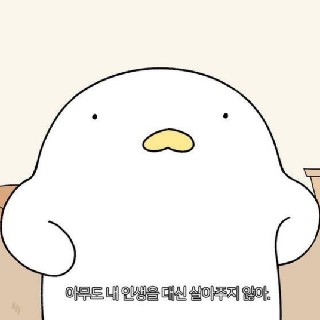 유저 프로필 사진