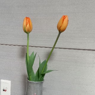 유저 프로필 사진