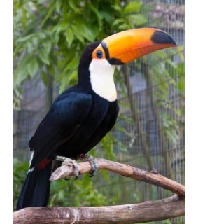 유저 프로필 사진