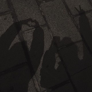 Y̊̈