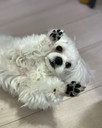 콩이콩순이