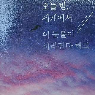 유소정#Qu4C님의 프로필 이미지