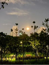 유저 프로필 사진