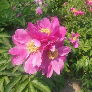 프로필 이미지