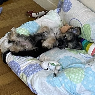 프로필 이미지