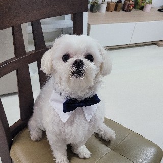 유저 프로필 사진