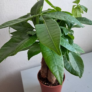 유저 프로필 사진