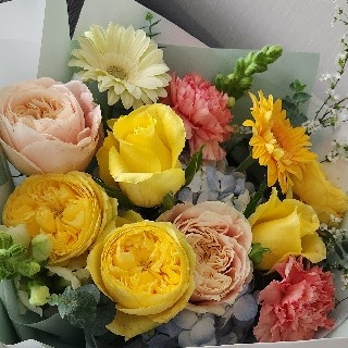 프로필 이미지