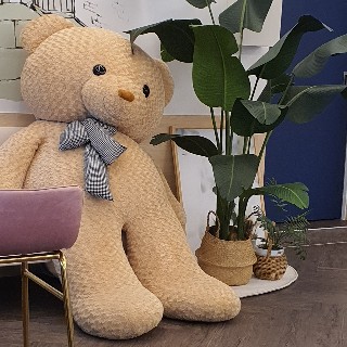 프로필 이미지
