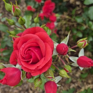 프로필 이미지