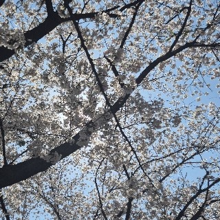 유저 프로필 사진