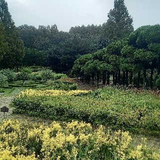 김남주