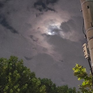 유저 프로필 사진