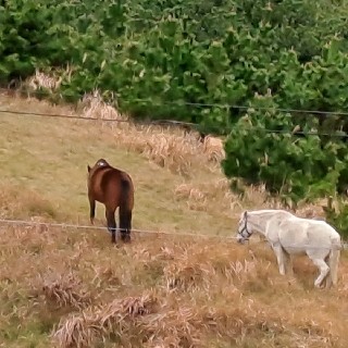 유저 프로필 사진