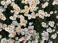 빈빈#xnMV님의 프로필 이미지