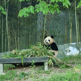 유저 프로필 사진