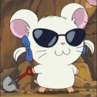 유저 프로필 사진