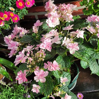 유저 프로필 사진