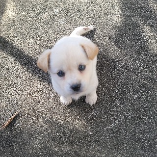 유저 프로필 사진