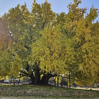 진#3Abh 유저 프로필 이미지