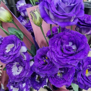 유저 프로필 사진