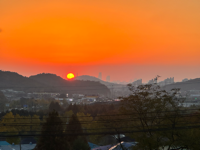 💌하뉘<오전/새벽>💌님의 프로필 이미지