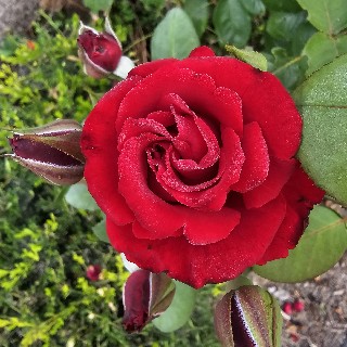 프로필 이미지