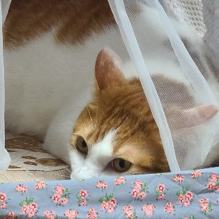 유저 프로필 사진