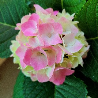 프로필 이미지