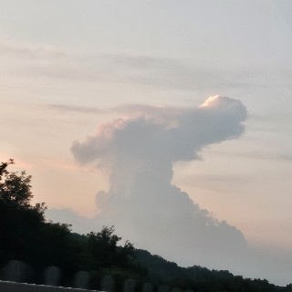 망고젤리🥭님의 프로필 이미지