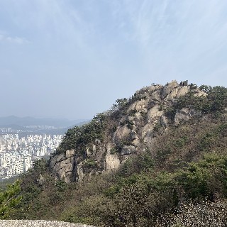 caerine님의 프로필 이미지