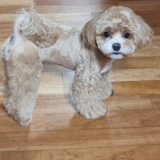 유저 프로필 사진