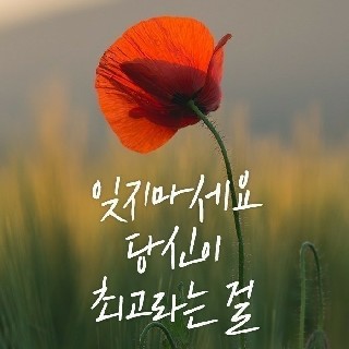 골드키위#pVWW님의 프로필 이미지