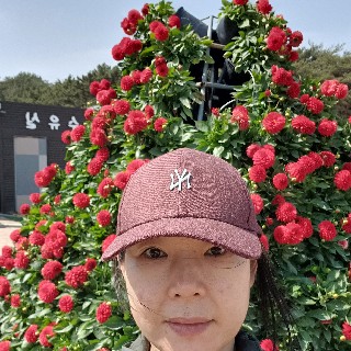 열심히걷자