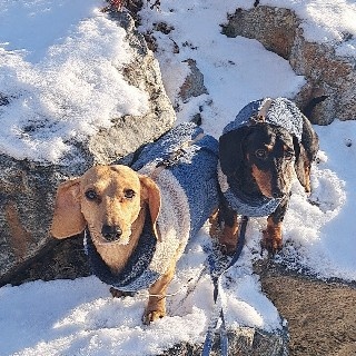 유저 프로필 사진