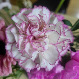 유저 프로필 사진