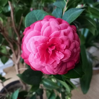 프로필 이미지