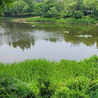 유저 프로필 사진