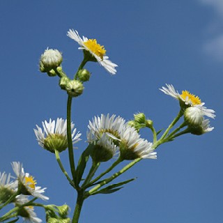 🍀밤12~오전9시🍀주세요
