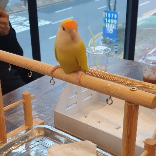태민#fURQ님의 프로필 이미지