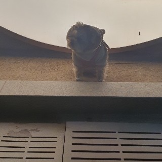 디제이입니다