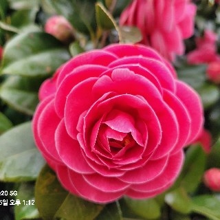 프로필 이미지